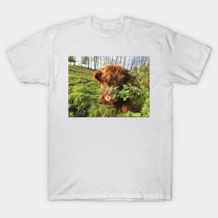 Scottish Highland Cattle Calf 1573 T-Shirt